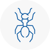 Ant Removals In Chester Le Street