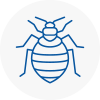 Bed Bug Extermination In Chester Le Street
