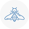 Bee Nest Removal Chester Le Street