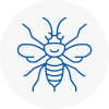 Chester Le Street Hornet Nest Removals