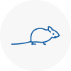 Mice Exterminators In Chester Le Street