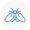 Moth Control Specialists In Chester Le Street