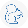 Chester Le Street Rodent Removals