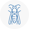 Chester Le Street Wasp Nest Removal